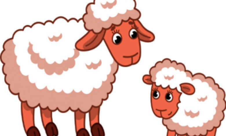 ארבע עונות וכבשה קטנה - לכל המשפחה בישראל