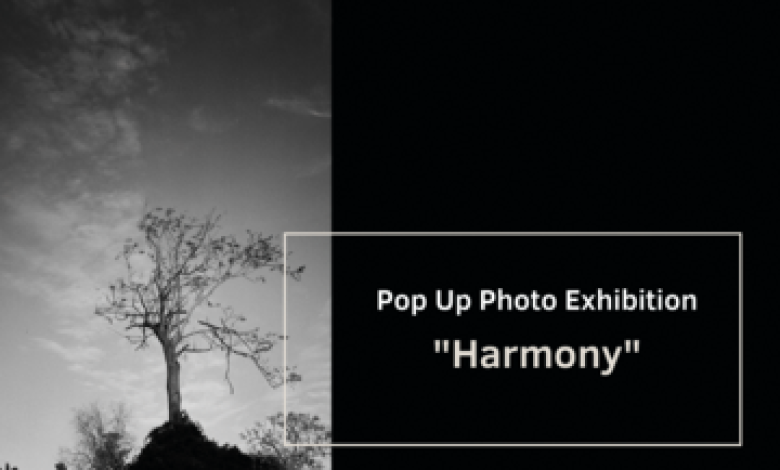 תערוכות בישראל: "תערוכת צילום פופ-אפ ה-12 – הרמוניה – 12th Pop-up Photography exhibition"